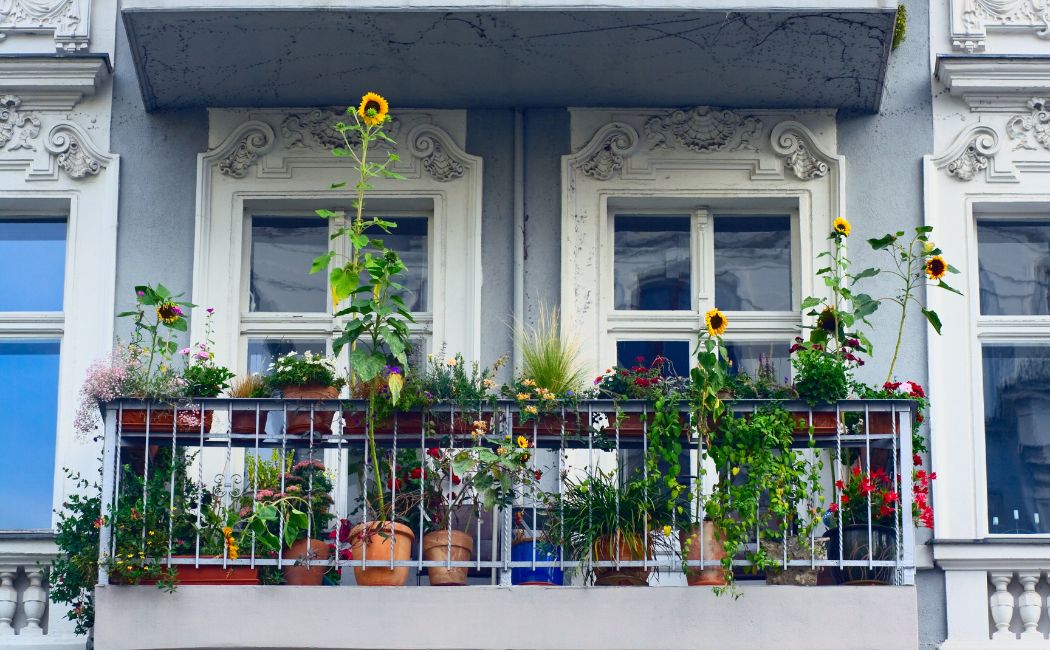 Niepotwarzalne donice - piękno na Twoim balkonie