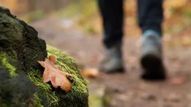 Sześć jesiennych wydarzeń w Małopolsce połączy sport z edukacją klimatyczną