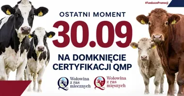 Rolnicy muszą zdążyć z certyfikatem QMP. Bez niego nie będzie dopłaty