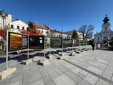 Wadowice z innej perspektywy. Fotografie na rynku do końca października