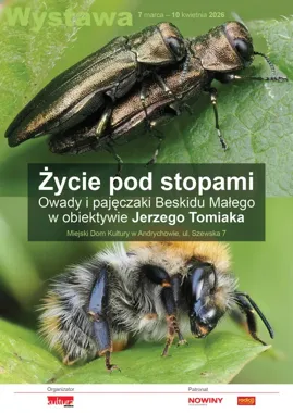 Makrofotografia pokazuje niewidoczny świat – wystawa Jerzego Tomiaka
