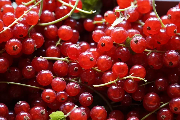 SOWA rozkręca wakacje w Wadowicach - nauka wyjdzie na miasto