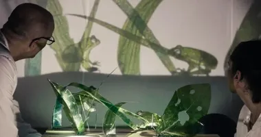 Co piszczy pod źdźbłem trawy? Bezpłatny teatr dla maluchów w Wadowicach