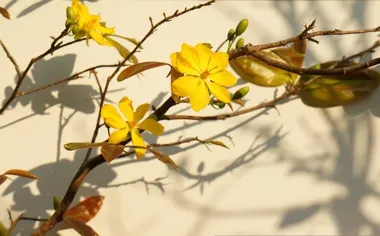 Dwa majowe powody, by zajrzeć do Strefy SOWA w Wadowicach