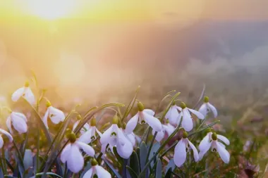 Marzanna wraca do rozmowy - i wiosna robi się bliższa